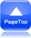 pagetop